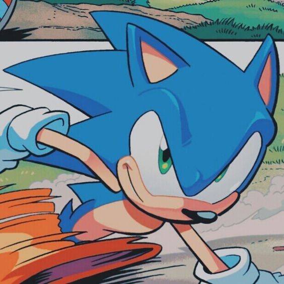 Sonic smirking while running